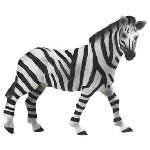 50008 - Zebra