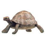 50013 - Tortoise