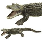 50014 - Crocodile