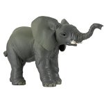 50027 - Elephant Calf