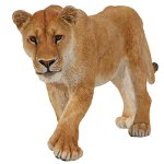 50028 - Lioness