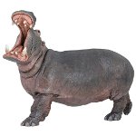 50051 - Hippopotamus