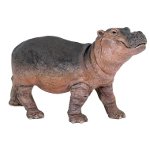 50052 - Hippopotamus Calf