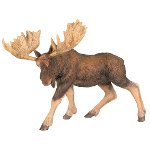 50065 - Moose