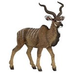 50104 - Great Kudu