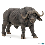 50114 - African buffalo