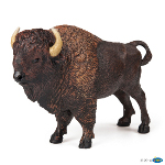 50119 - American buffalo