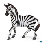 50122 - Zebra