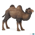 50129 - Bactrian camel