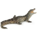 50137 - Baby crocodile