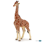 50149 - Giraffe male