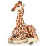 50150 - Lying giraffe calf