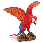 50158 - Ara parrots