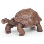 50161 - Galapagos tortoise