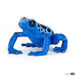 50175 - Equatorial Blue Frog