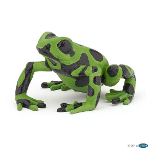 50176 - Equatorial Green Frog