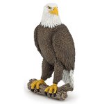 50181 - Sea Eagle