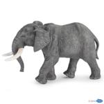 50192 - African Elephant