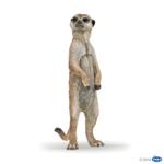 50206 - Standing meerkat