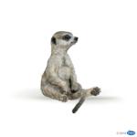 50207 - Sitting meerkat