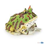 50220 - Horned frog
