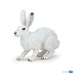 50226 - Arctic hare
