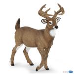 53021 - White tailed deer
