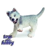 16373 - Husky Puppy