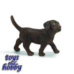 16388 - Labrador puppy