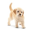 16396 - Golden Retriever puppy