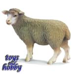 13283 - Sheep, standing