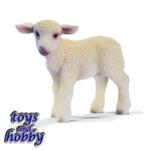 13285 - Lamb, standing