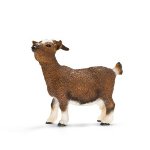 13715 - Dwarf goat