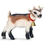 13720 - Domestic Goat Kid