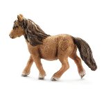 13750 - Shetland pony mare