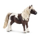 13751 - Shetland Pony gelding