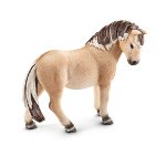 13754 - Fjord Horse mare