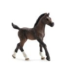 13762 - Arabian foal