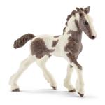 13774 - Tinker foal