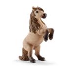 13775 - Mini Shetty stallion