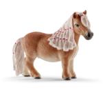 13776 - Mini Shetty mare