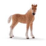 13781 - Bashkir Curly foal