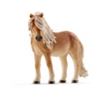 13790 - Icelandic Pony mare