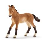 13804 - Tennessee Walker foal