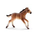 13807 - Mustang foal
