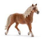13813 - Haflinger stallion
