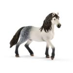 13821 - Andalusian stallion