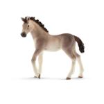 13822 - Andalusian Foal