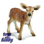 14256 - White-tailed Fawn