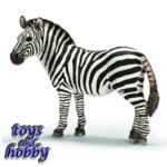 14392 - Zebra female
